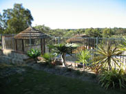 Pool Fencing in Perth, WA